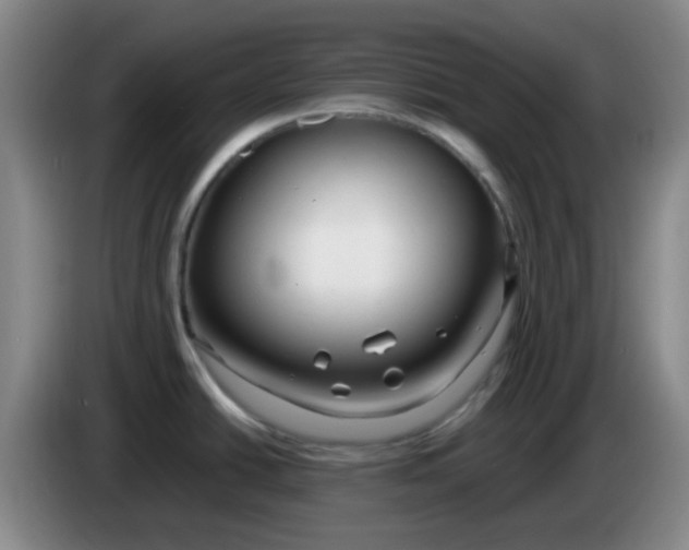 X0000083981438200703091814