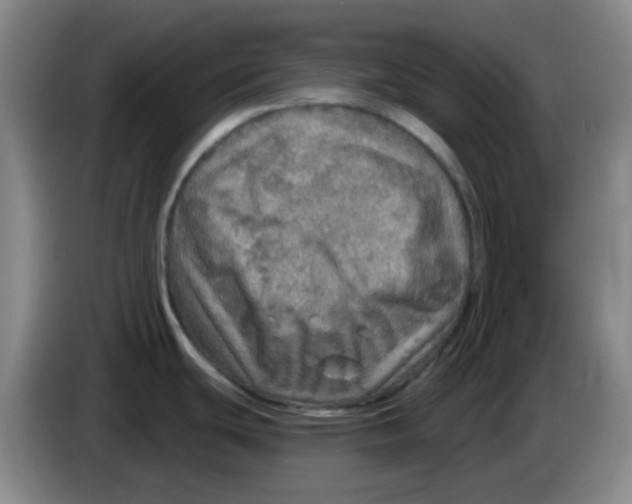 X0000083981439200703091814