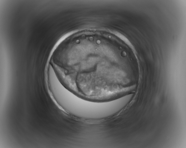 X0000083981440200703091814