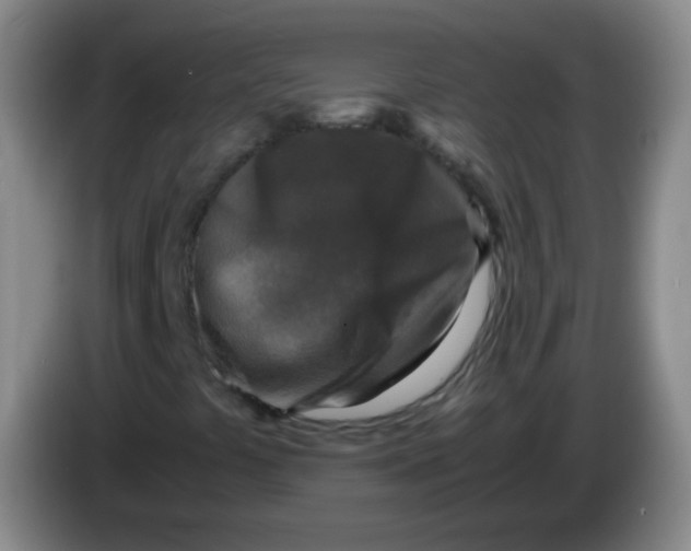 X0000083981441200703091814