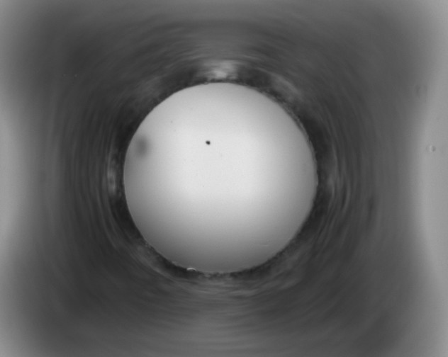 X0000083981442200703091814