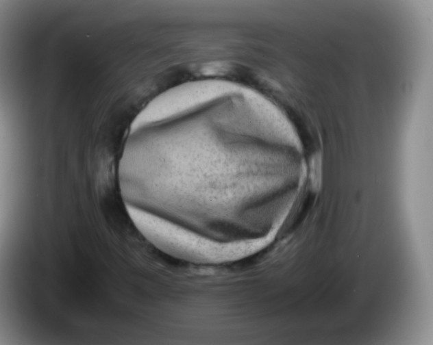 X0000083981443200703091814