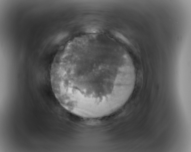 X0000083981446200703091814