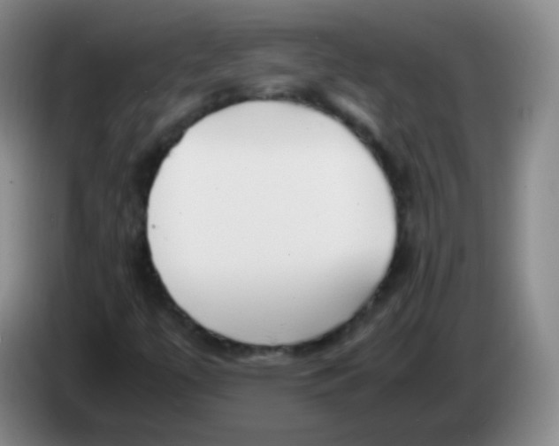 X0000083981447200703091814