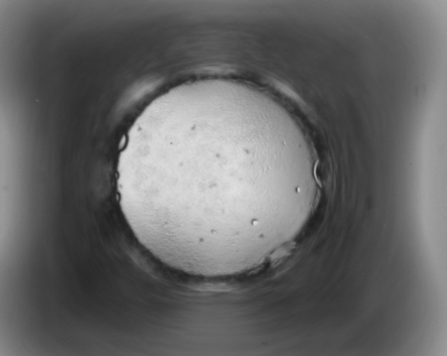 X0000083981448200703091814