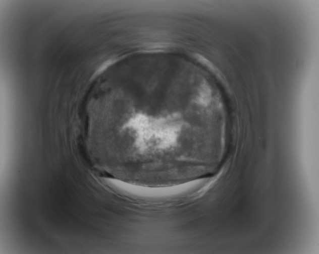 X0000083981449200703091814