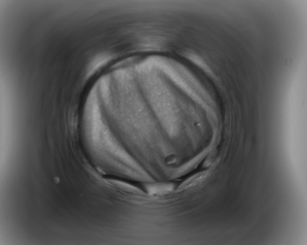 X0000083981450200703091814