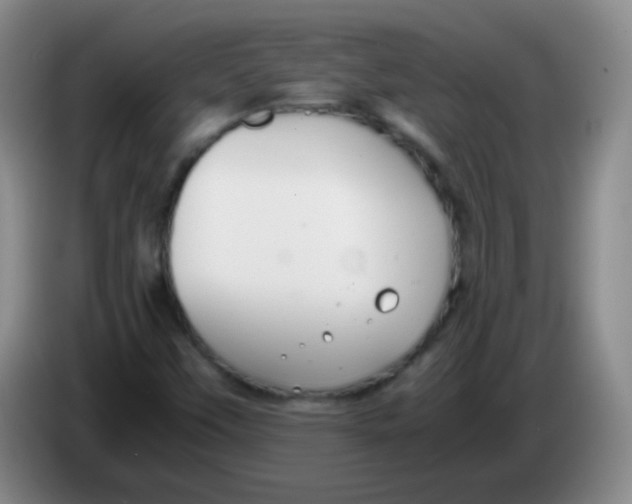 X0000083981451200703091814