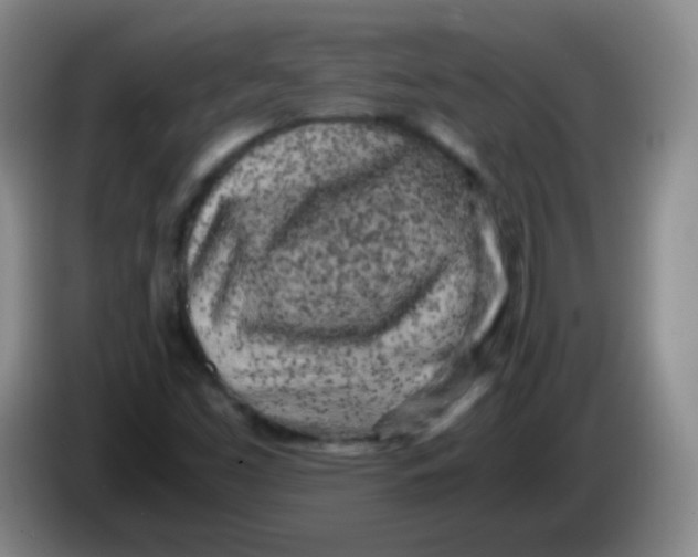 X0000083981453200703091814