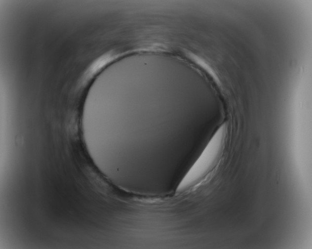 X0000083981455200703091814