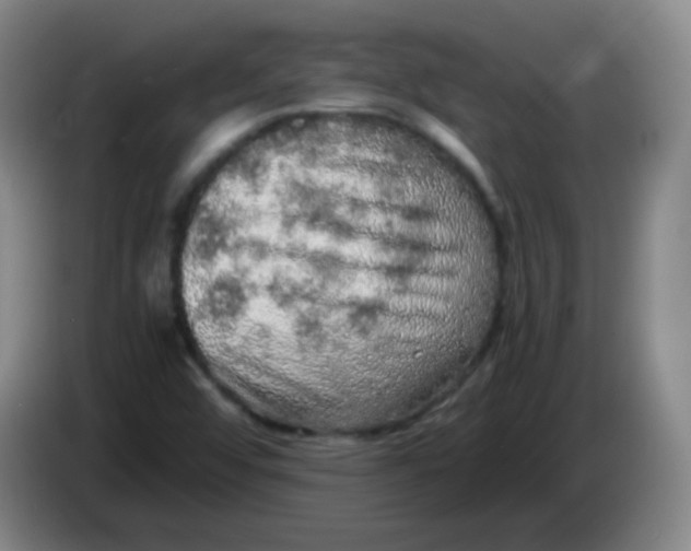 X0000083981456200703091814