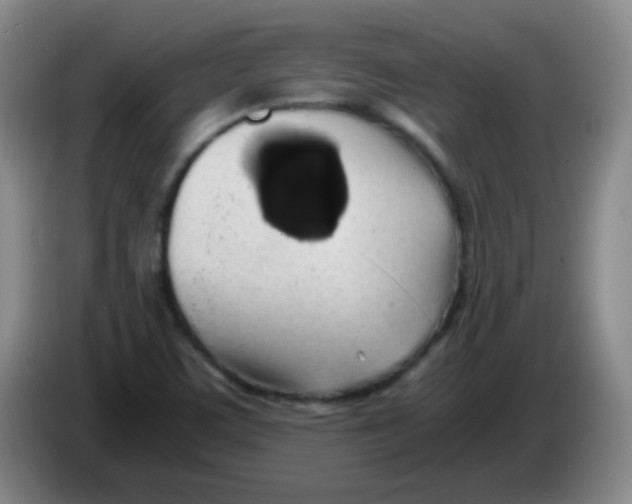 X0000083981459200703091814