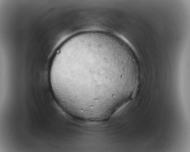 X0000083981460200703091813