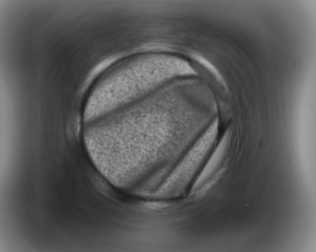 X0000083981461200703091813