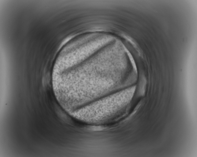 X0000083981465200703091813