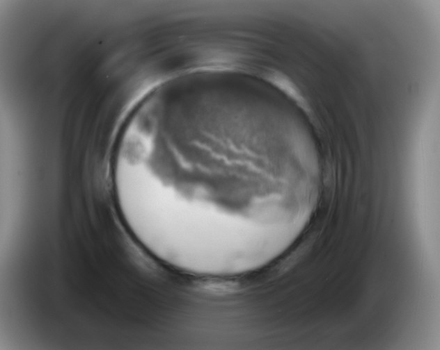 X0000083981466200703091813