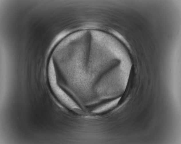 X0000083981469200703091813