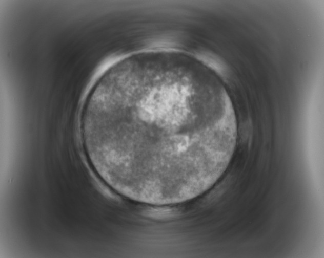 X0000083981470200703091813