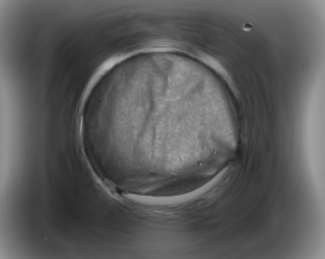 X0000083981472200703091813