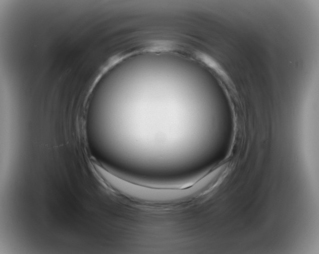 X0000083981473200703091813