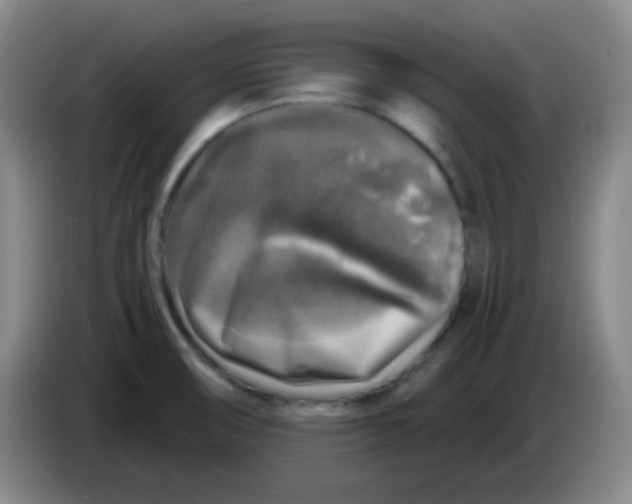 X0000083981474200703091813