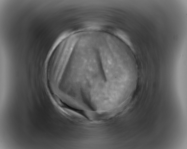 X0000083981475200703091813