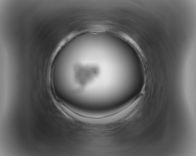 X0000083981477200703091813