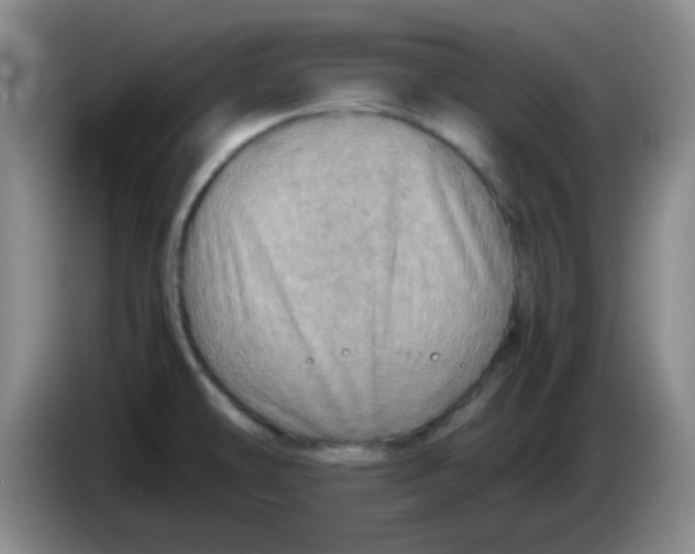 X0000083981478200703091813