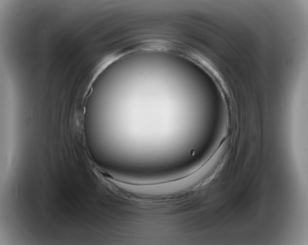 X0000083981481200703091813