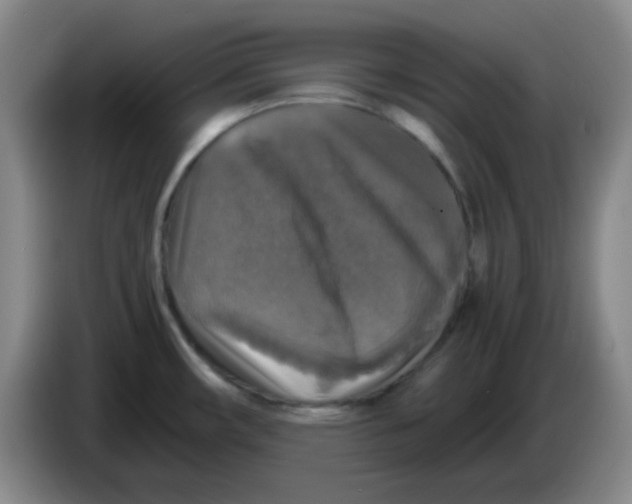 X0000083981482200703091813