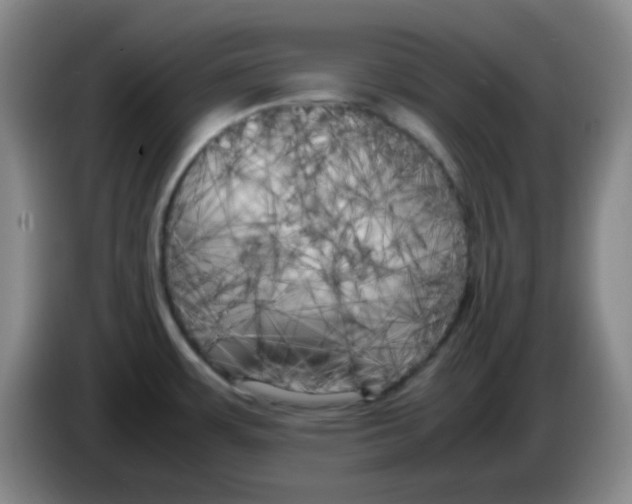 X0000083981483200703091813