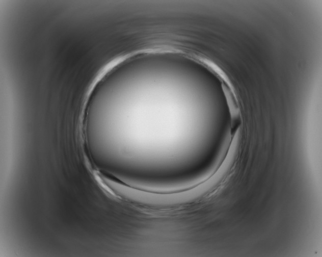 X0000083981485200703091813