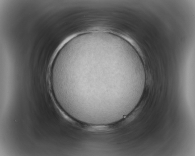 X0000083981486200703091813