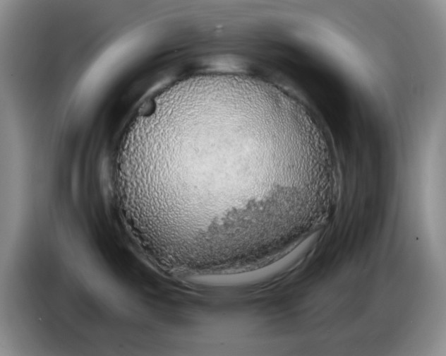 X0000083981487200703091813