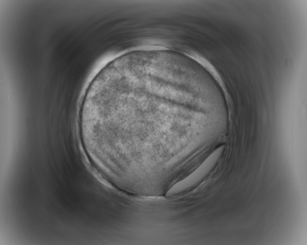 X0000083981488200703091813