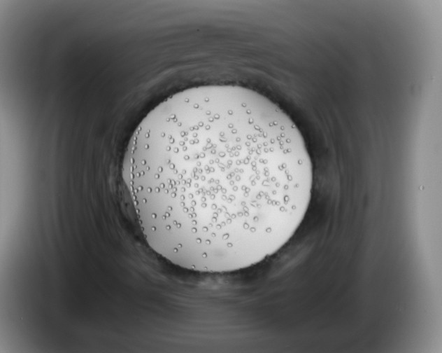 X0000083981490200703091812