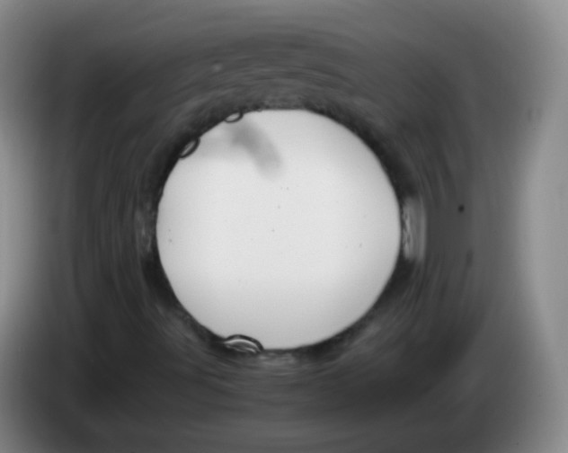 X0000083981491200703091812