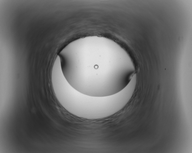 X0000083981492200703091813