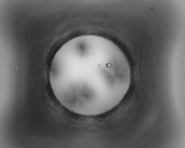 X0000083981493200703091813