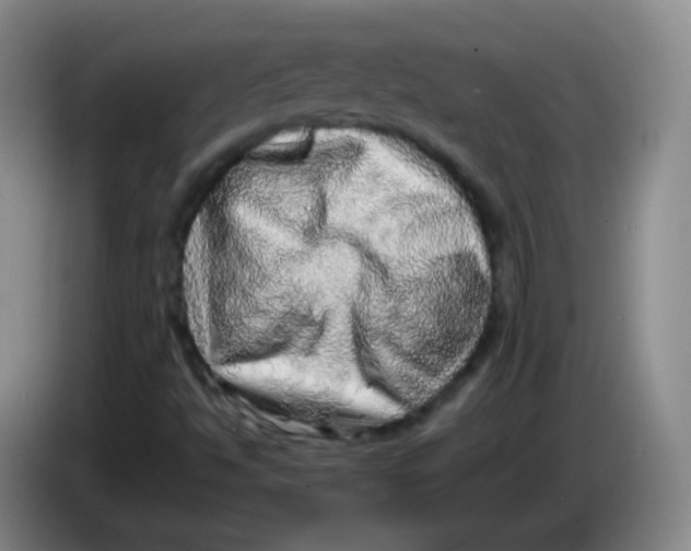 X0000083981494200703091813