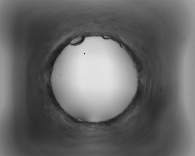 X0000083981495200703091813