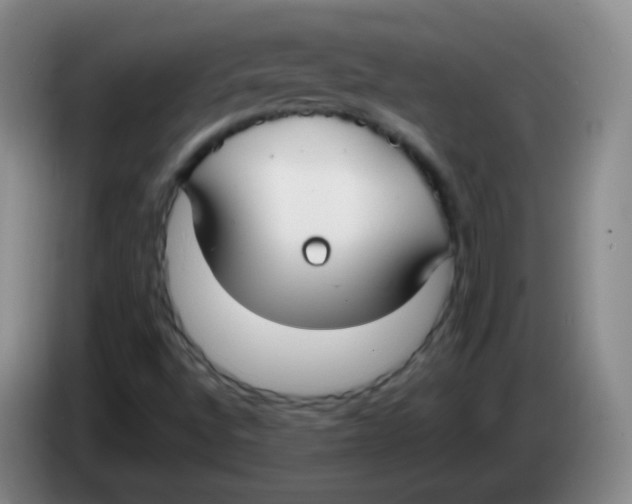 X0000083981496200703091813