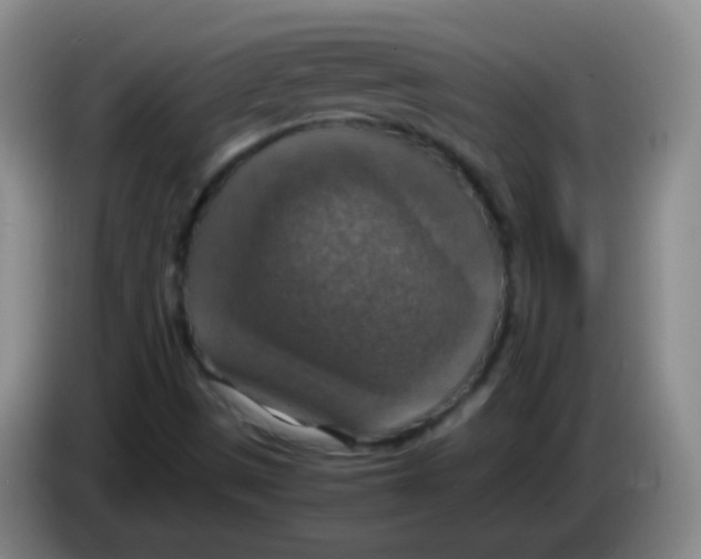 X0000083981497200703091813