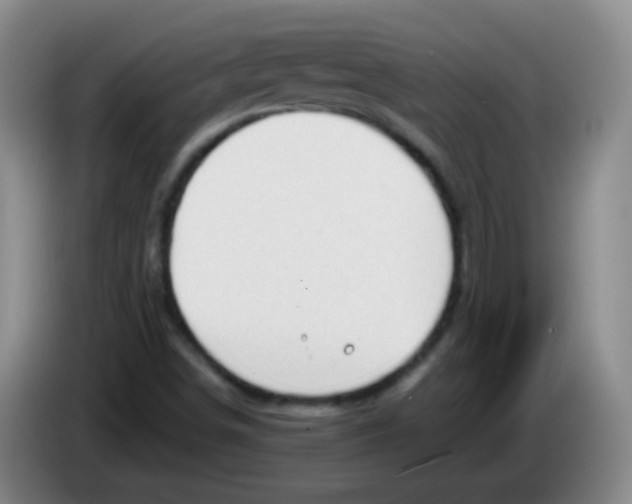 X0000083981498200703091813