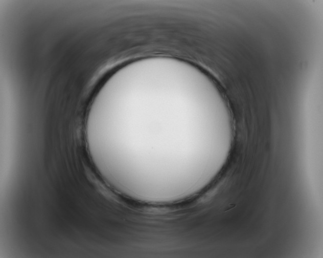 X0000083981499200703091813