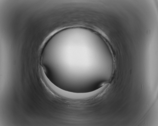 X0000083981500200703091813