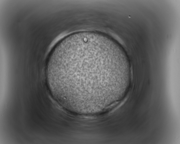 X0000083981501200703091813