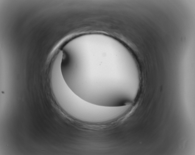 X0000083981502200703091813