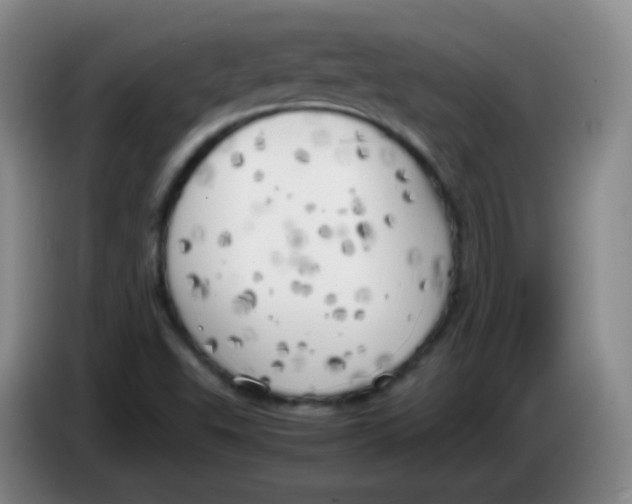 X0000083981503200703091813