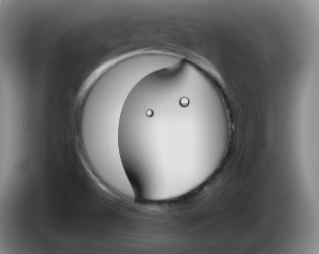 X0000083981504200703091813